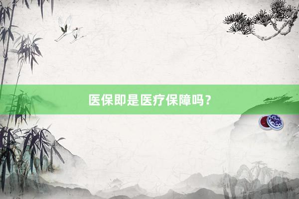 医保即是医疗保障吗？