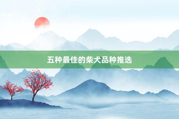 五种最佳的柴犬品种推选