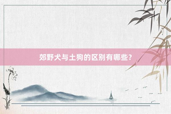 郊野犬与土狗的区别有哪些？